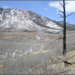 Area of the Berry Fire near Mt. Herman